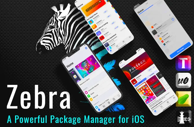 Zebra Package Manager