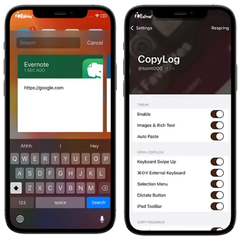 CopyLog tweak repo is the best clipboard manager for iOS