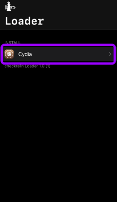 Checkra1n with Cydia